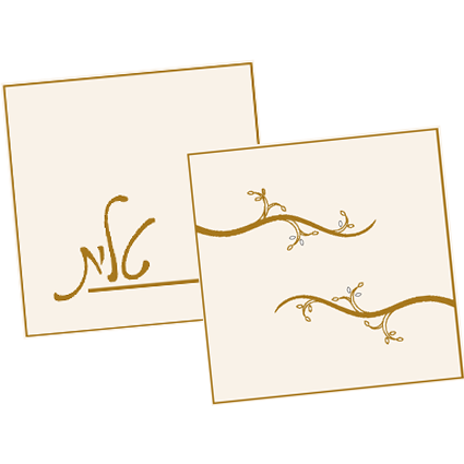 Modern Tefillin Bags